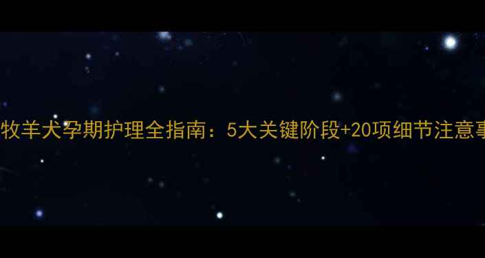 图片 边境牧羊犬孕期护理全指南：5大关键阶段+20项细节注意事项2