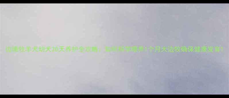 图片 边境牧羊犬幼犬30天养护全攻略：如何科学喂养1个月大边牧确保健康发育1