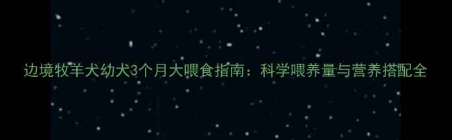 图片 边境牧羊犬幼犬3个月大喂食指南：科学喂养量与营养搭配全