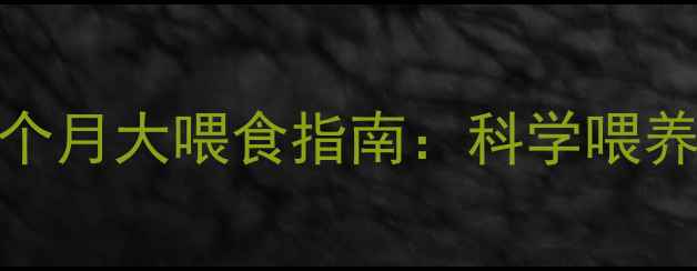 图片 边境牧羊犬幼犬3个月大喂食指南：科学喂养量与营养搭配全1