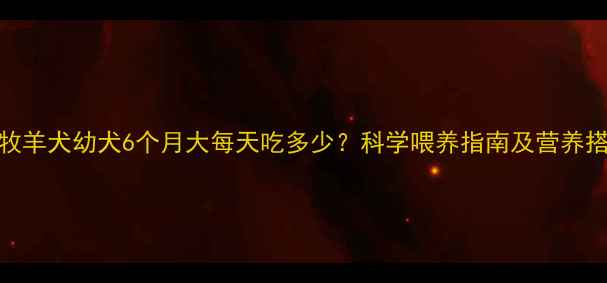 图片 边境牧羊犬幼犬6个月大每天吃多少？科学喂养指南及营养搭配全