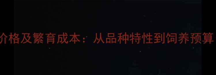 图片 边境牧羊犬幼犬价格及繁育成本：从品种特性到饲养预算（附选购指南）2