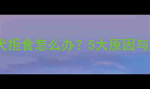 图片 边境牧羊犬幼犬拒食怎么办？5大原因与专业应对指南2