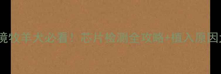 图片 边境牧羊犬必看！芯片检测全攻略+植入原因大1