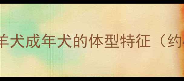 图片 边境牧羊犬成年犬的体型特征（约400字）