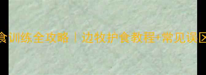 图片 边境牧羊犬护食训练全攻略｜边牧护食教程+常见误区，附训练视频