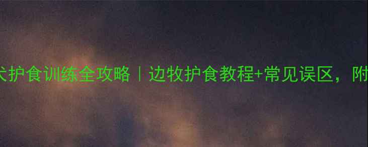 图片 边境牧羊犬护食训练全攻略｜边牧护食教程+常见误区，附训练视频1