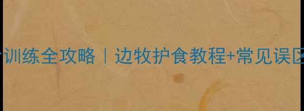 图片 边境牧羊犬护食训练全攻略｜边牧护食教程+常见误区，附训练视频2