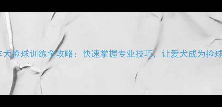 图片 边境牧羊犬捡球训练全攻略：快速掌握专业技巧，让爱犬成为捡球小能手1