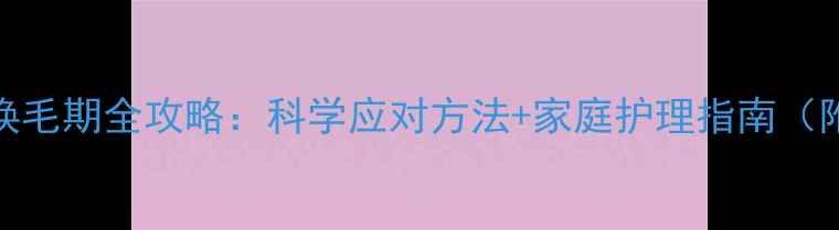 图片 边境牧羊犬换毛期全攻略：科学应对方法+家庭护理指南（附真实案例）