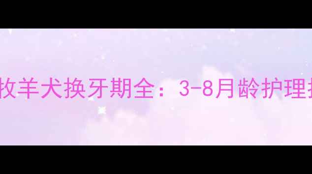 图片 边境牧羊犬换牙期全：3-8月龄护理指南2