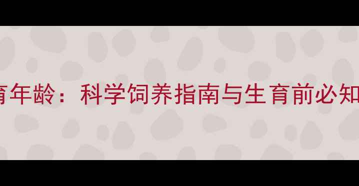 图片 边境牧羊犬母犬最佳生育年龄：科学饲养指南与生育前必知事项（附年龄对照表）1