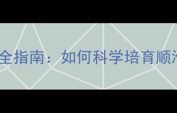 图片 边境牧羊犬毛发护理全指南：如何科学培育顺滑亮泽的毛绒闪电？1