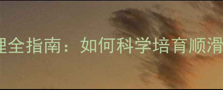 图片 边境牧羊犬毛发护理全指南：如何科学培育顺滑亮泽的毛绒闪电？2