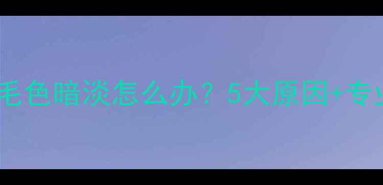 图片 边境牧羊犬毛色暗淡怎么办？5大原因+专业护理指南2