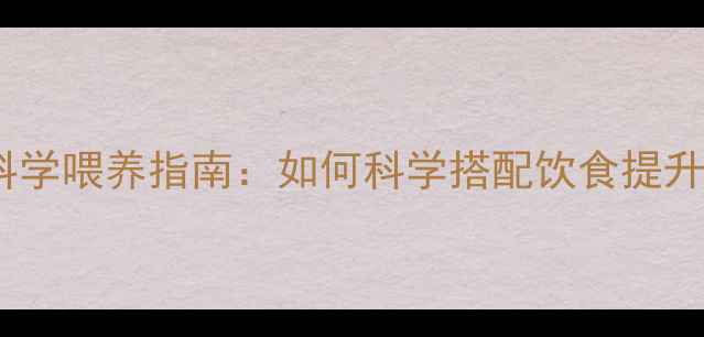 图片 边境牧羊犬犬舍科学喂养指南：如何科学搭配饮食提升犬只健康与活力1