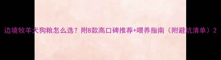 图片 边境牧羊犬狗粮怎么选？附8款高口碑推荐+喂养指南（附避坑清单）2