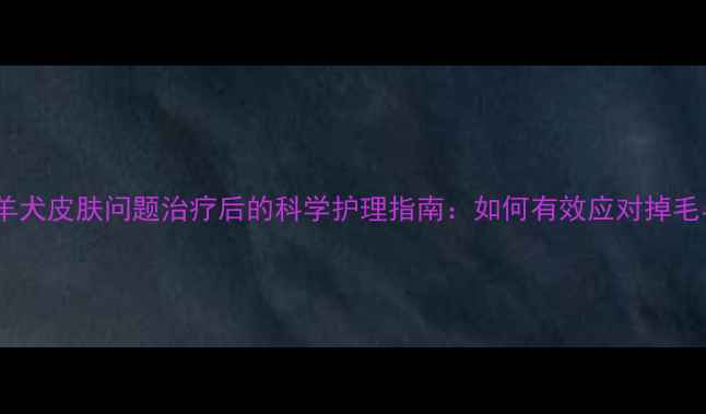 图片 边境牧羊犬皮肤问题治疗后的科学护理指南：如何有效应对掉毛与复发2