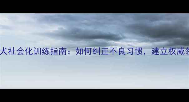 图片 边境牧羊犬社会化训练指南：如何纠正不良习惯，建立权威领导地位1