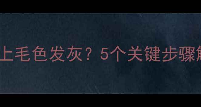 图片 边境牧羊犬背上毛色发灰？5个关键步骤解决毛色暗沉2