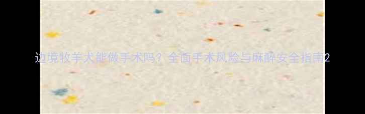 图片 边境牧羊犬能做手术吗？全面手术风险与麻醉安全指南2