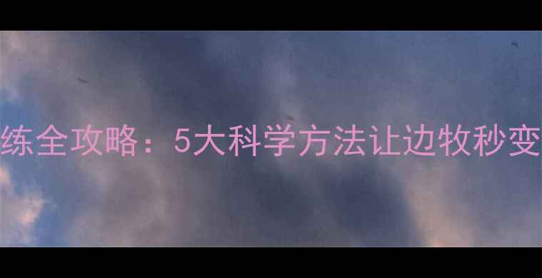 图片 边境牧羊犬训练全攻略：5大科学方法让边牧秒变聪明听话伙伴