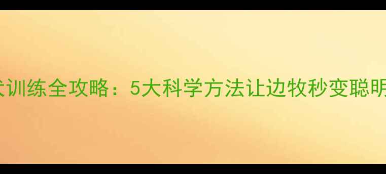 图片 边境牧羊犬训练全攻略：5大科学方法让边牧秒变聪明听话伙伴1