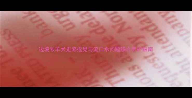 图片 边境牧羊犬走路摇晃与流口水问题综合养护指南