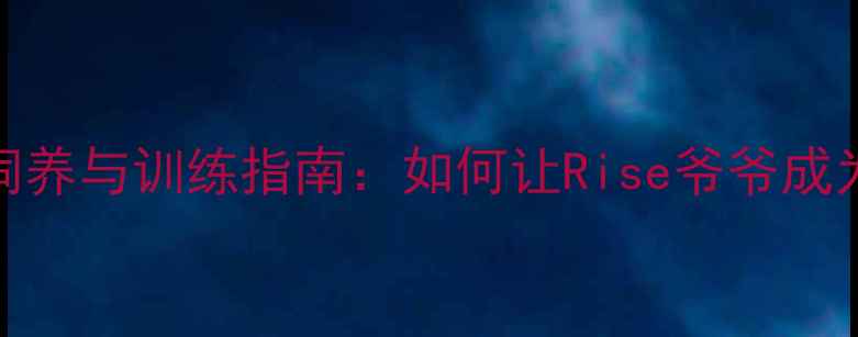 图片 边境牧羊犬饲养与训练指南：如何让Rise爷爷成为家庭好伙伴