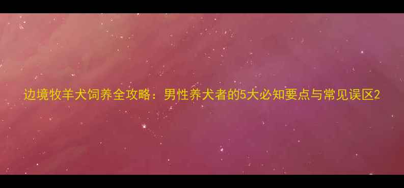 图片 边境牧羊犬饲养全攻略：男性养犬者的5大必知要点与常见误区2