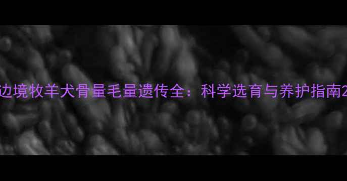 图片 边境牧羊犬骨量毛量遗传全：科学选育与养护指南2