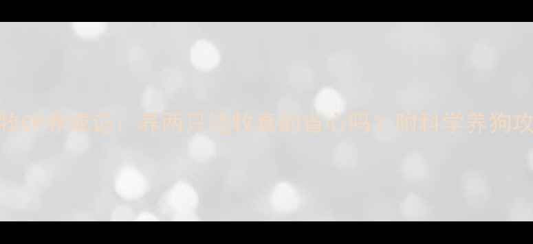 图片 边牧CP养成记：养两只边牧真的省心吗？附科学养狗攻略