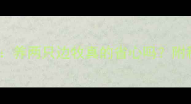 图片 边牧CP养成记：养两只边牧真的省心吗？附科学养狗攻略1