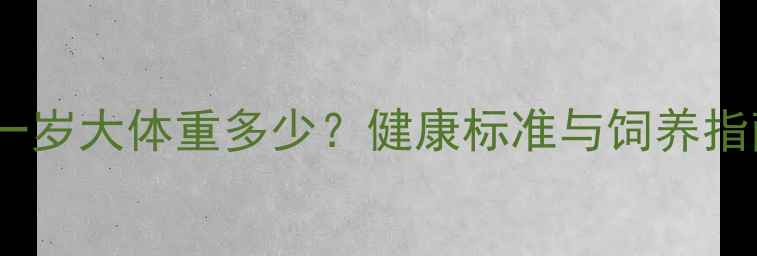图片 边牧一岁大体重多少？健康标准与饲养指南全1