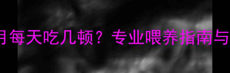 图片 边牧七个月每天吃几顿？专业喂养指南与注意事项2