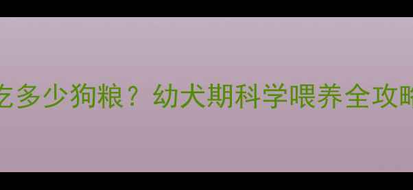 图片 边牧五个月大一天吃多少狗粮？幼犬期科学喂养全攻略（附体重管理表）