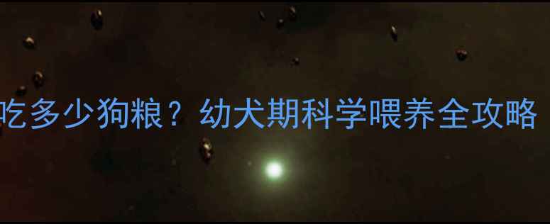 图片 边牧五个月大一天吃多少狗粮？幼犬期科学喂养全攻略（附体重管理表）2