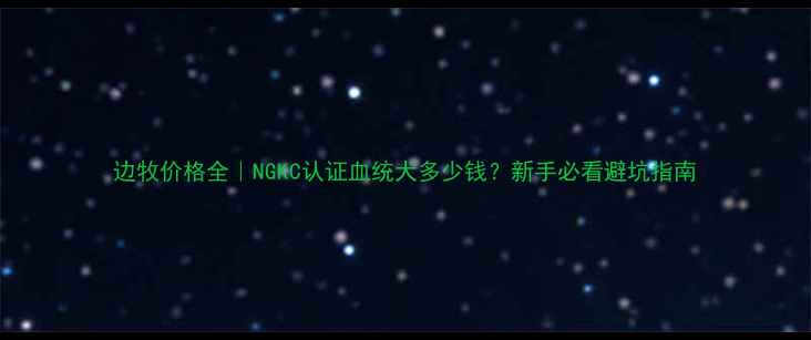 图片 边牧价格全｜NGKC认证血统犬多少钱？新手必看避坑指南