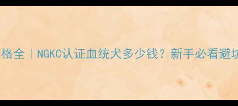 图片 边牧价格全｜NGKC认证血统犬多少钱？新手必看避坑指南1