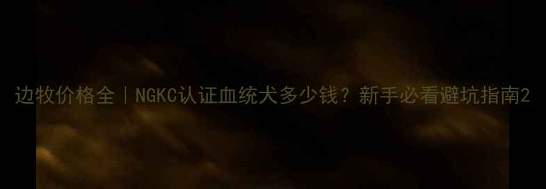 图片 边牧价格全｜NGKC认证血统犬多少钱？新手必看避坑指南2