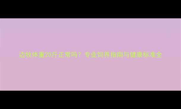 图片 边牧体重20斤正常吗？专业饲养指南与健康标准全