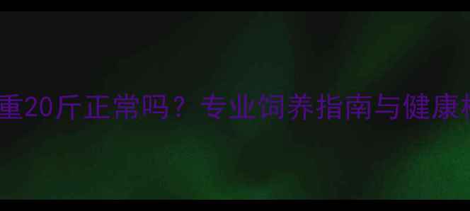 图片 边牧体重20斤正常吗？专业饲养指南与健康标准全2