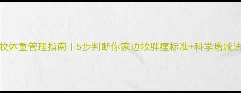 图片 边牧体重管理指南｜5步判断你家边牧胖瘦标准+科学增减法🐾