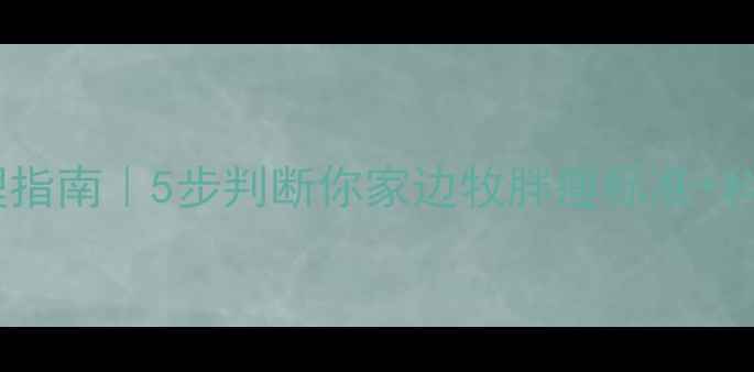 图片 边牧体重管理指南｜5步判断你家边牧胖瘦标准+科学增减法🐾1