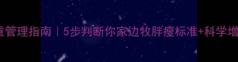 图片 边牧体重管理指南｜5步判断你家边牧胖瘦标准+科学增减法🐾2