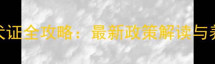 图片 边牧养犬证全攻略：最新政策解读与养宠指南