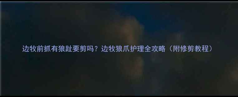 图片 边牧前抓有狼趾要剪吗？边牧狼爪护理全攻略（附修剪教程）