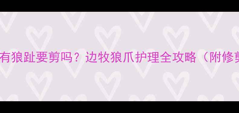 图片 边牧前抓有狼趾要剪吗？边牧狼爪护理全攻略（附修剪教程）1