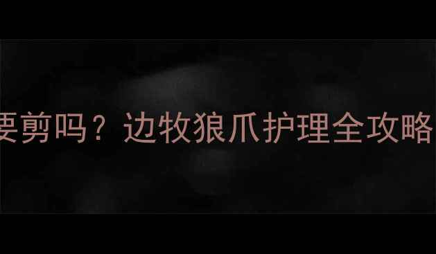 图片 边牧前抓有狼趾要剪吗？边牧狼爪护理全攻略（附修剪教程）2