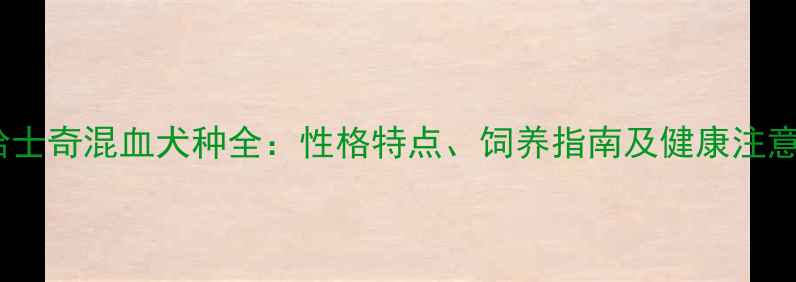 图片 边牧哈士奇混血犬种全：性格特点、饲养指南及健康注意事项2